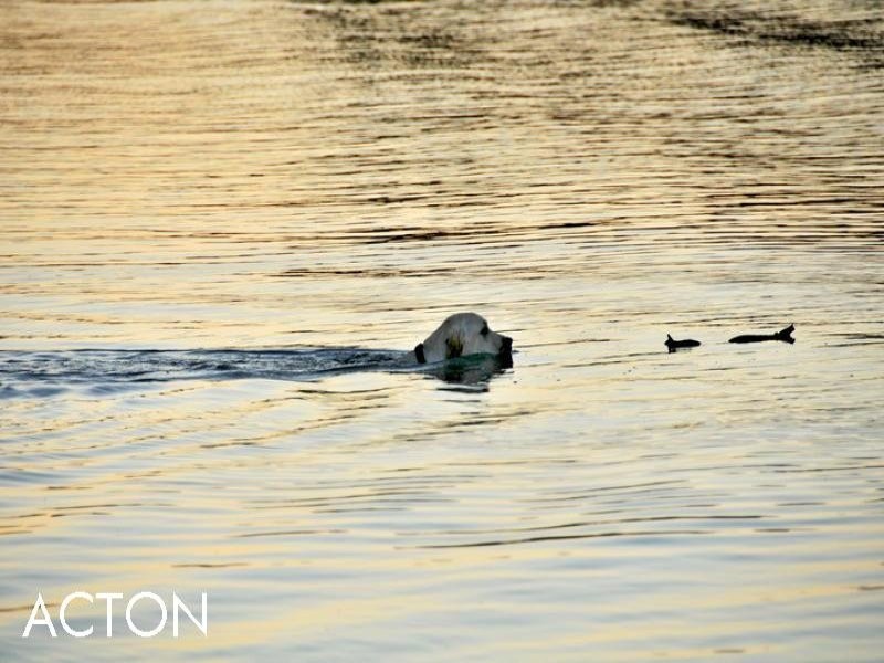 164 Banksia Terrace, South Yunderup WA 6208