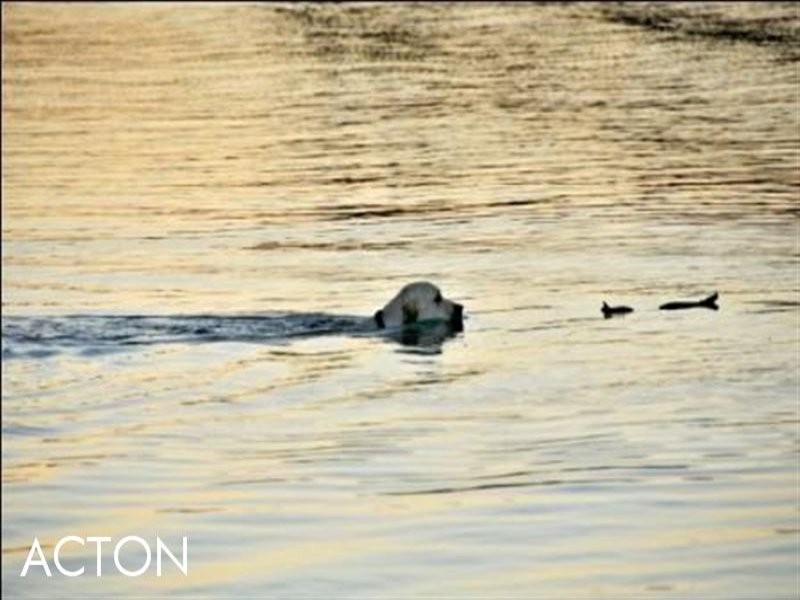 19 Murray Waters Boulevard, South Yunderup WA 6208