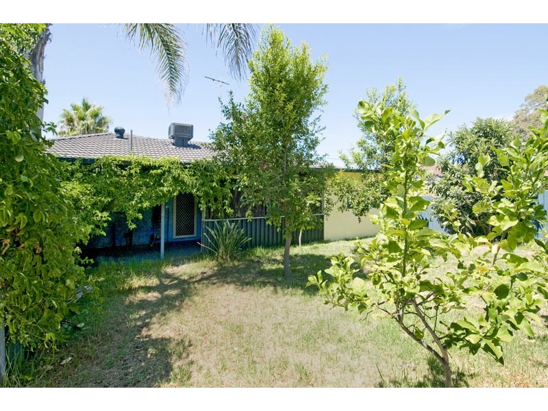 37 Cobblers Street, Falcon WA 6210
