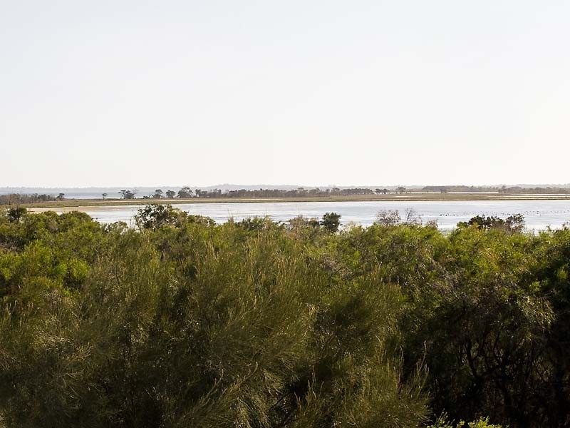 143 Darwin Terrace, Dudley Park WA 6210