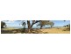 1/4 Kurdal Road, Old Coodanup, Coodanup WA 6210