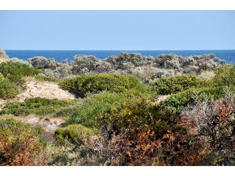 54 Marillana Drive, Golden Bay WA 6174