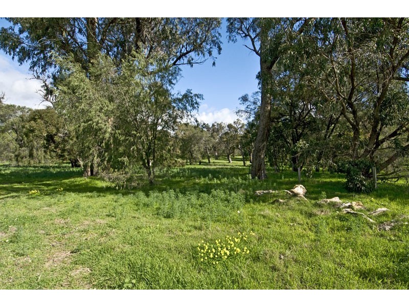 82 Clifton Downs Road, Lake Clifton WA 6215