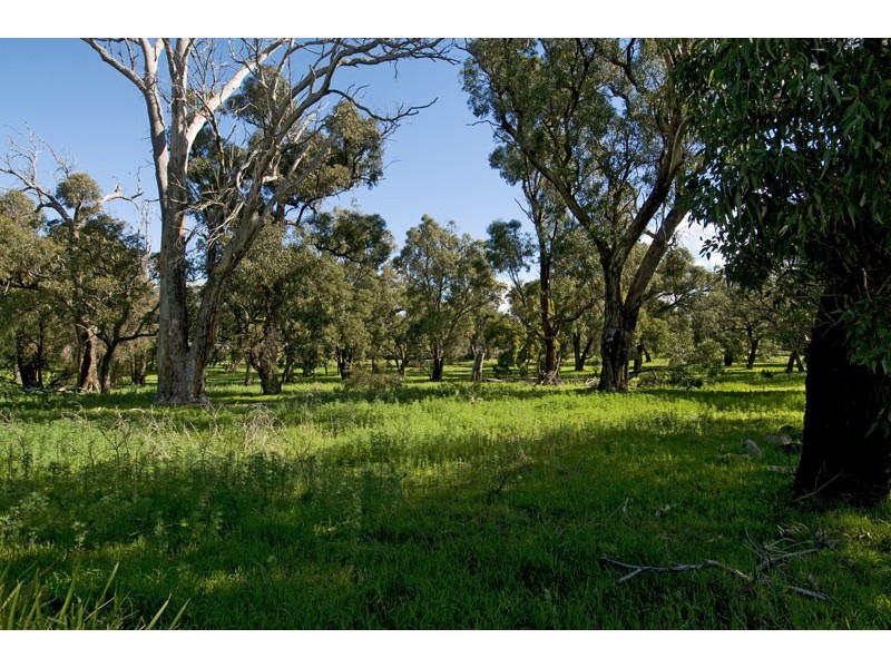 82 Clifton Downs Road, Lake Clifton WA 6215