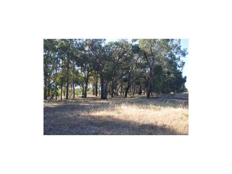 122 Stacey Rise, Lake Clifton WA 6215