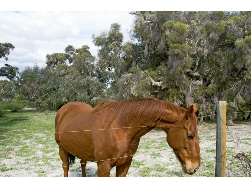 81 Peaceful Waters Drive, Barragup WA 6209