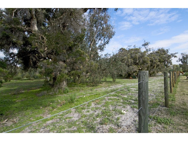 81 Peaceful Waters Drive, Barragup WA 6209