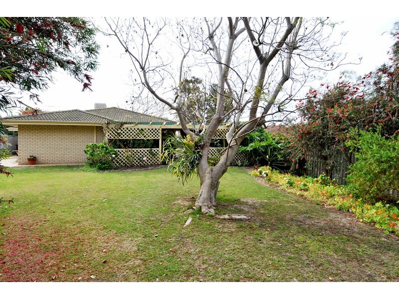8 Mahogany Drive, Halls Head WA 6210