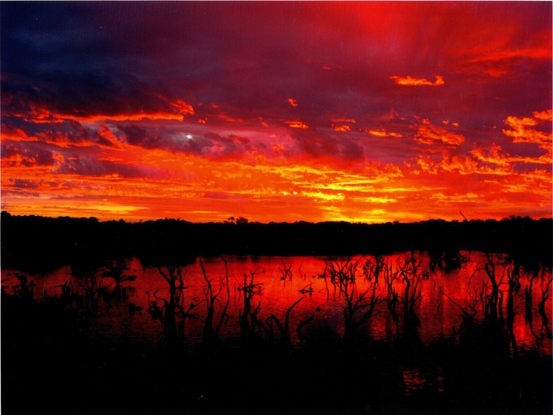 25 Conservation Loop, Erskine WA 6210