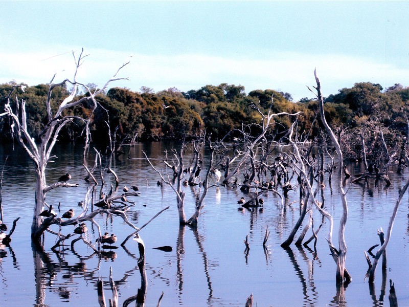 25 Conservation Loop, Erskine WA 6210