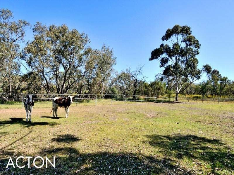 45 Blue Gum Way, South Yunderup WA 6208