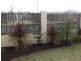 22 Murrin Loop, Lakelands WA 6180