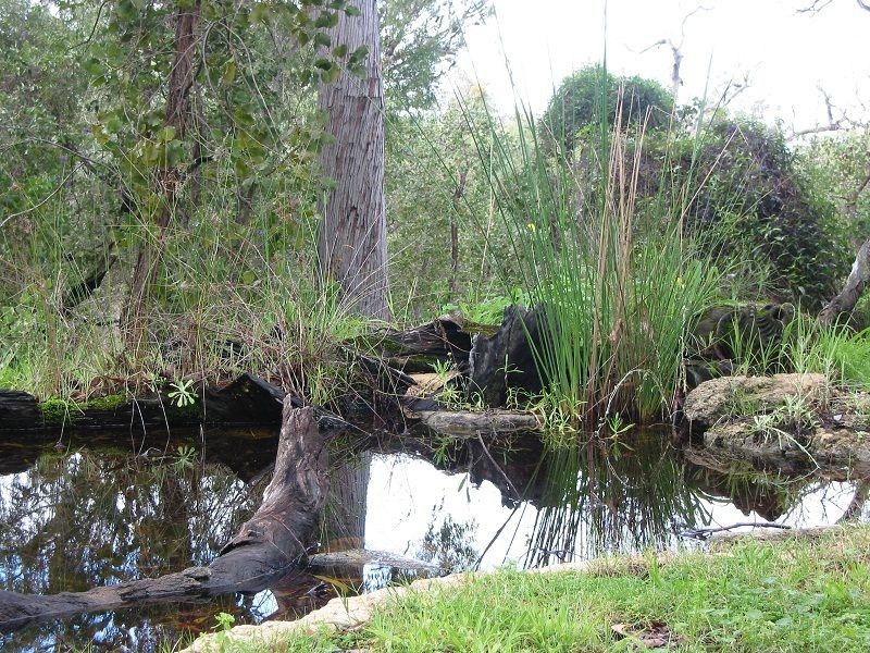 226 Southern Estuary Rd, Herron WA 6211