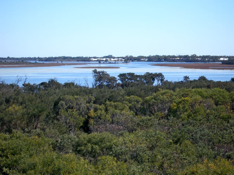 127 Darwin Tce, Dudley Park WA 6210