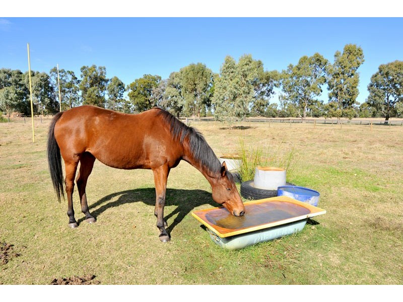 72 Cheyne Court, Pinjarra WA 6208