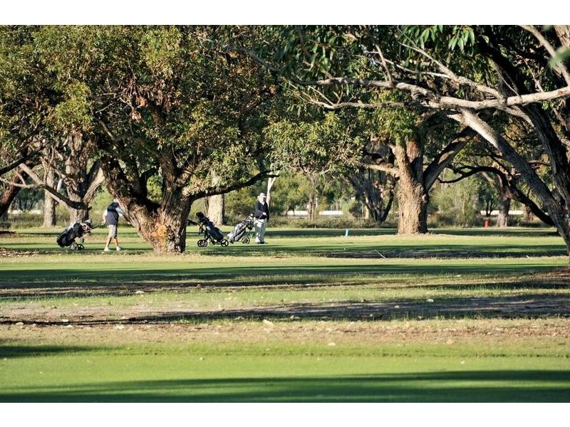 59 Midsummer Circle, Pinjarra WA 6208