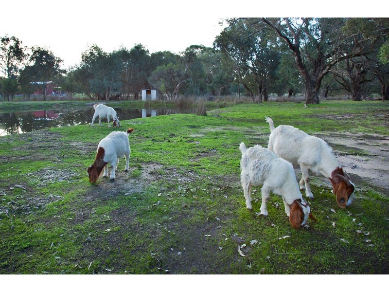 85 Shenton Road, Barragup WA 6209