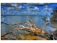 516 Estuary Road, Dawesville WA 6211