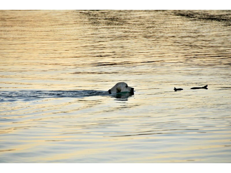 59 Delta Drive, South Yunderup WA 6208