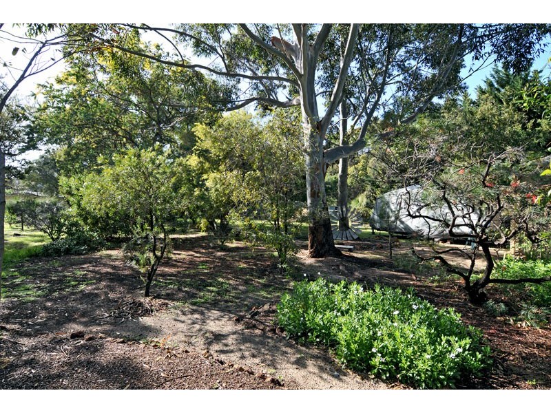 31 Nutbush Avenue, Falcon WA 6210