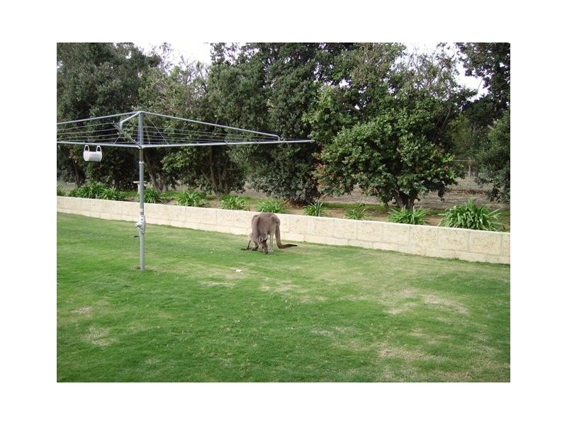 4 White Hill Road, Bouvard WA 6211