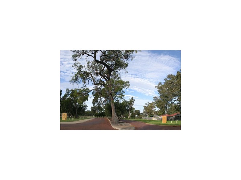 Lot 2,  Songlark Ramble, Coodanup WA 6210