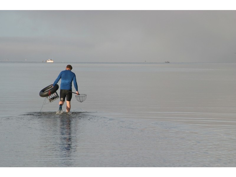 Lot 2,  Songlark Ramble, Coodanup WA 6210