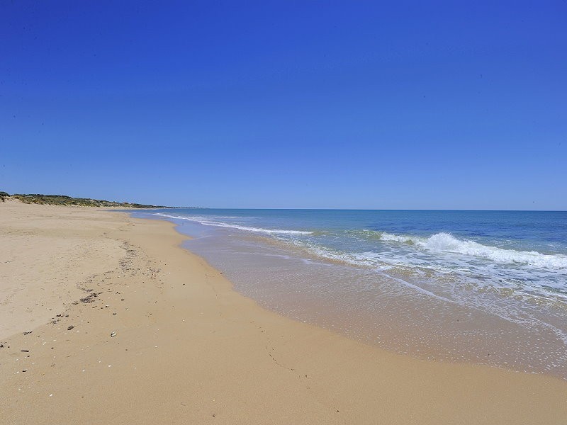 19 Tectona Way, Halls Head WA 6210