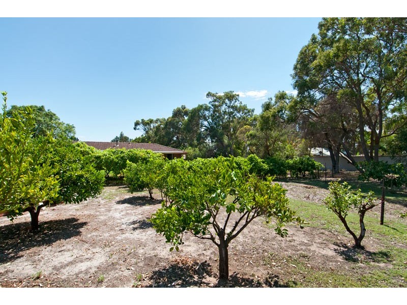 828 Pinjarra Road, Furnissdale WA 6209