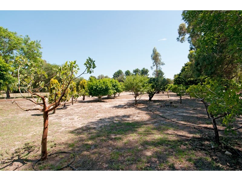 828 Pinjarra Road, Furnissdale WA 6209