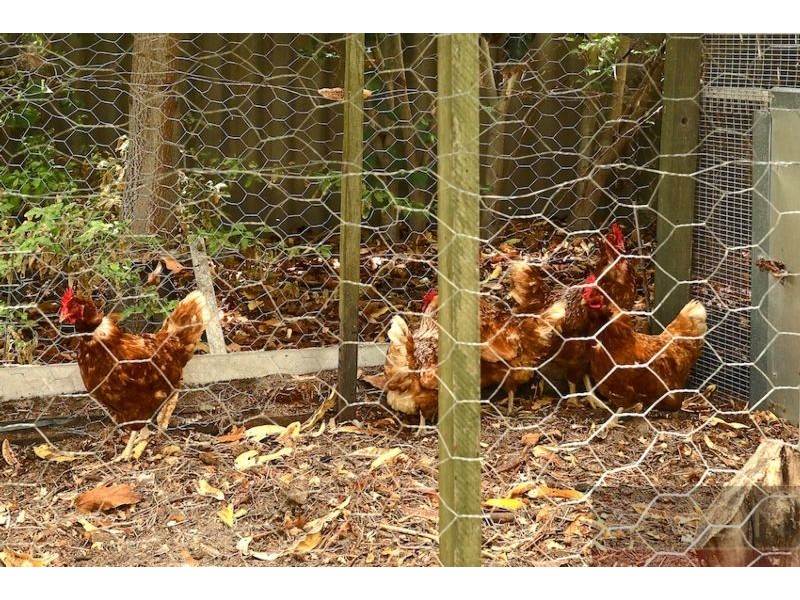 32 Kookerbrook Street, Dudley Park WA 6210