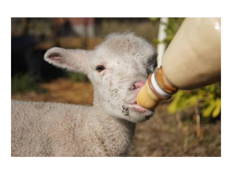 362 Lakes Road, Mandurah WA 6210