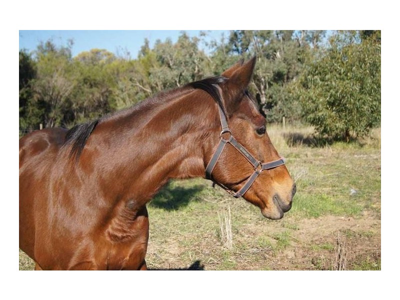 362 Lakes Road, Mandurah WA 6210