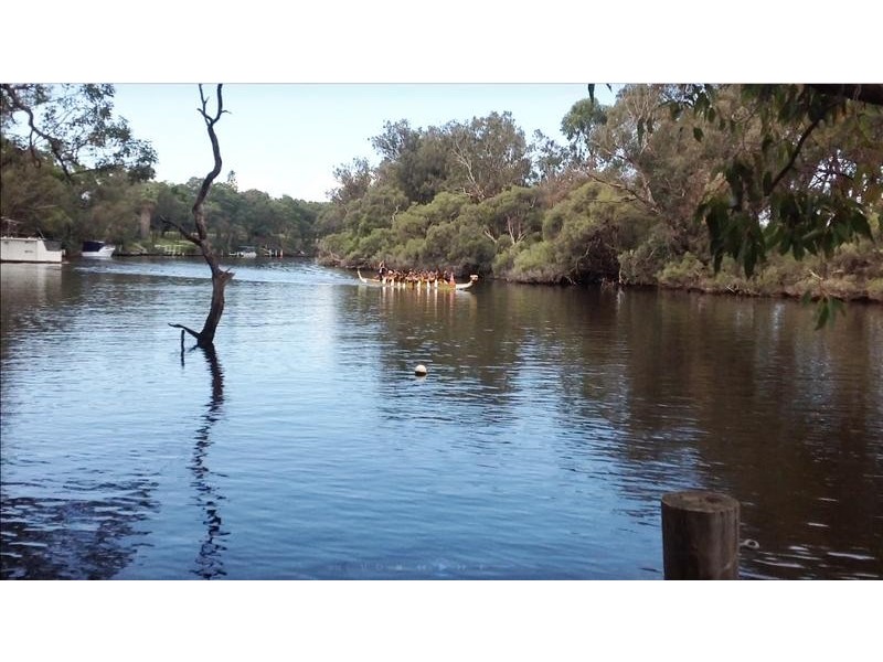 41 Rodoreda Crescent, Ravenswood WA 6208