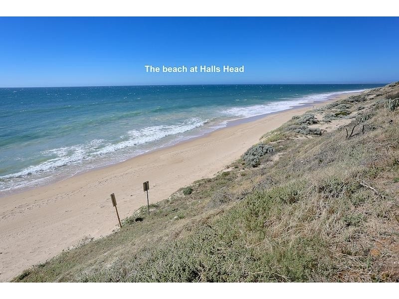 39 Marsdenia Road, Halls Head WA 6210