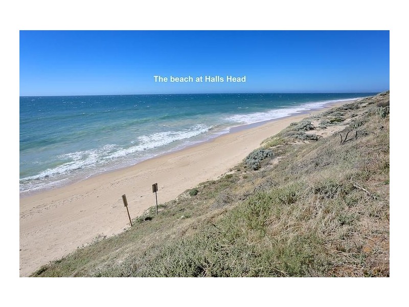 1/102 Janis Street, Halls Head WA 6210