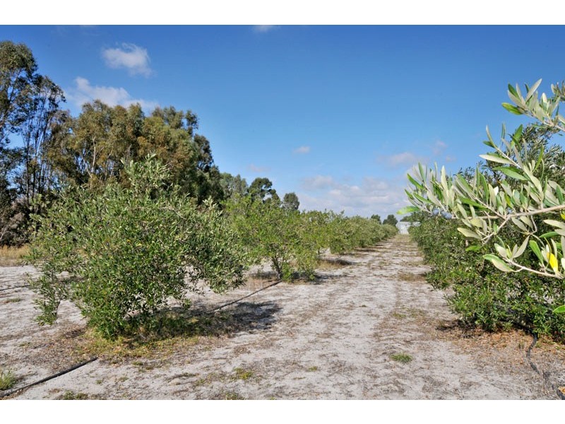 173 Attein Rd, West Coolup WA 6214