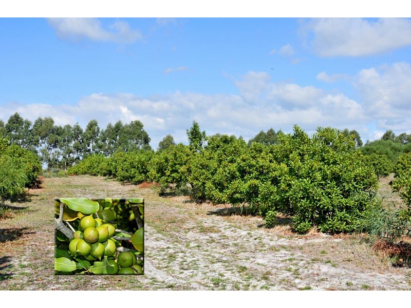 173 Attein Rd, West Coolup WA 6214