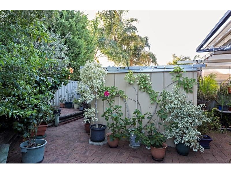 37B Elderberry Circle, Halls Head WA 6210