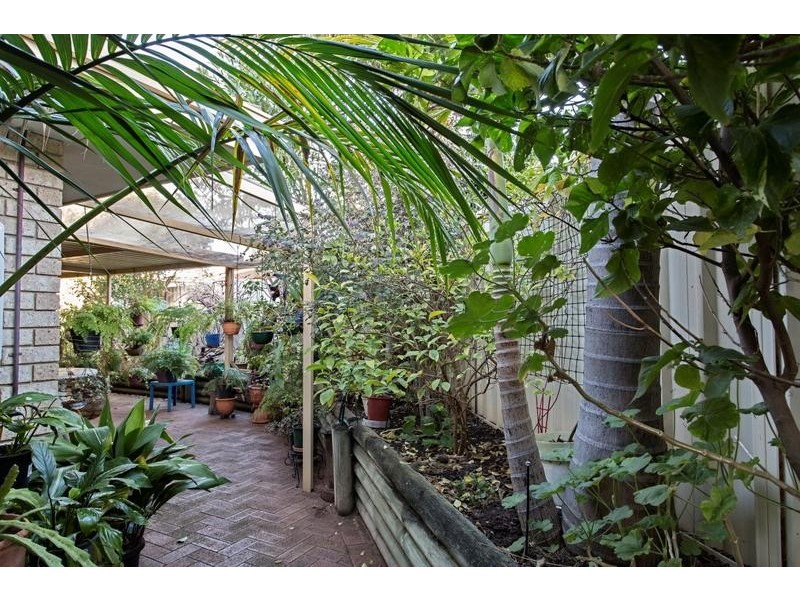 37B Elderberry Circle, Halls Head WA 6210