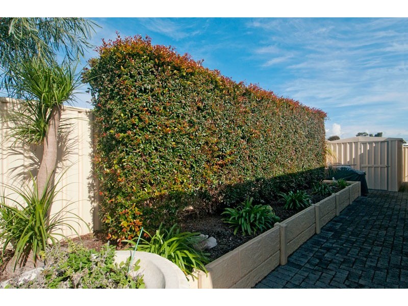 42 Ravendale drive, Dudley Park WA 6210