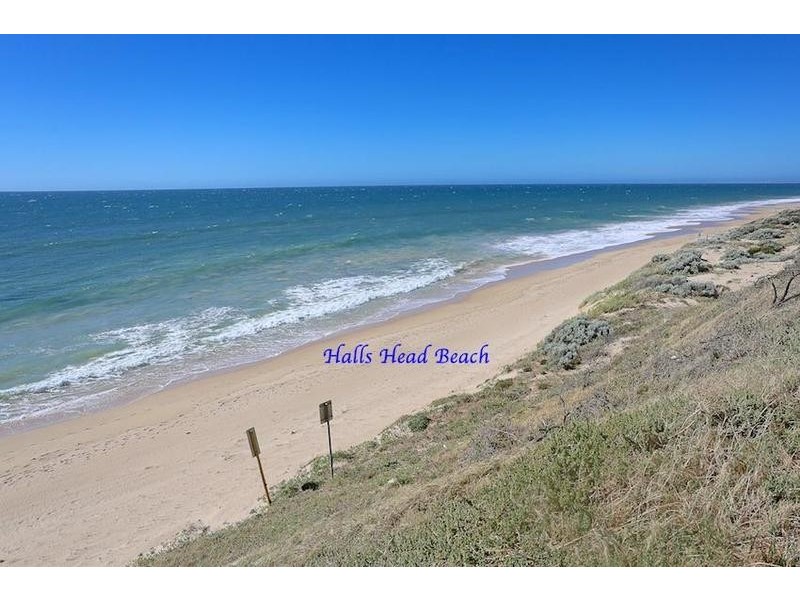 3 Buttercup Parkway, Halls Head WA 6210