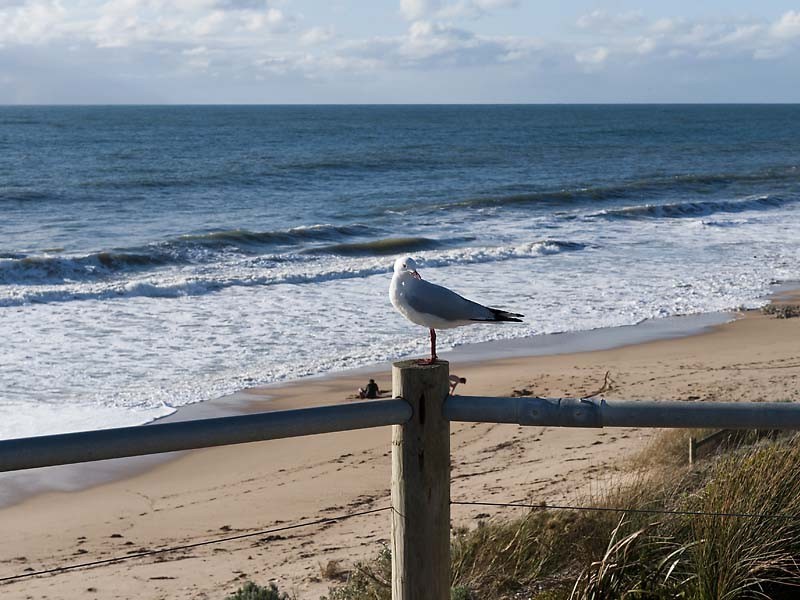 10 Shonae Pass, Halls Head WA 6210