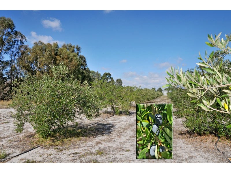 173 Attein Road, West Coolup WA 6214