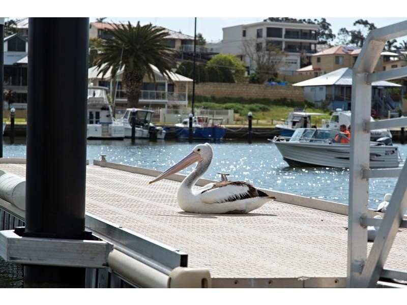 38 Arundel Drive, Halls Head WA 6210