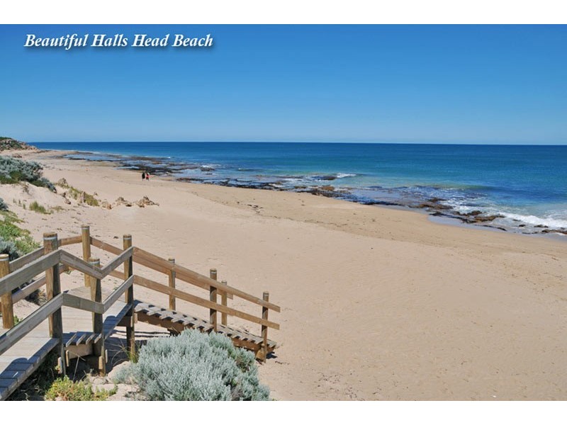 6 Castilloa Court, Halls Head WA 6210