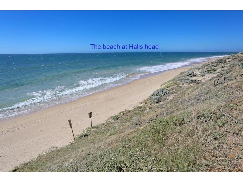 2/4 Tern Court, Halls Head WA 6210