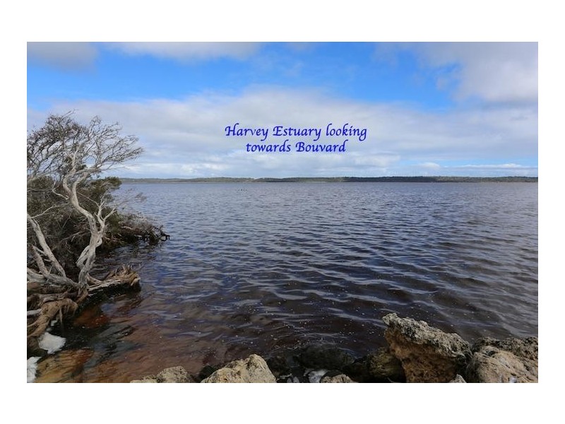 45 Numbat Place, Birchmont WA 6214