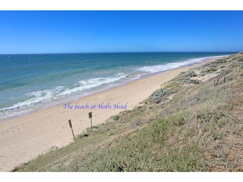 7 Admiralty Crescent, Halls Head WA 6210