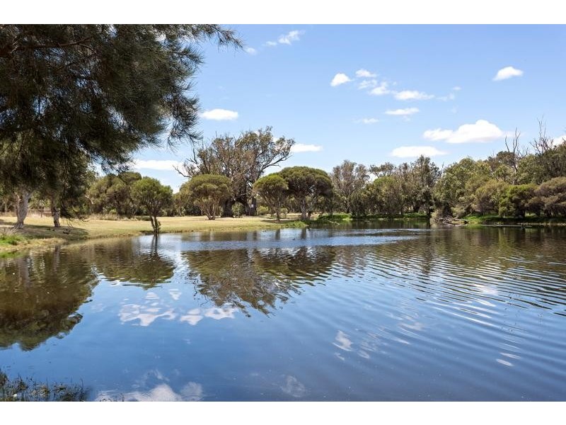 29 Abbotswood Parkway, Erskine WA 6210